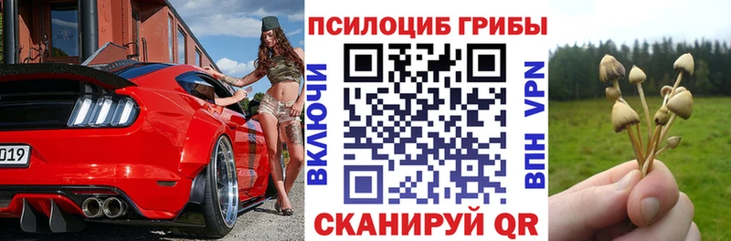 OMG tor  Ростов-на-Дону  Галлюциногенные грибы Psilocybine cubensis 